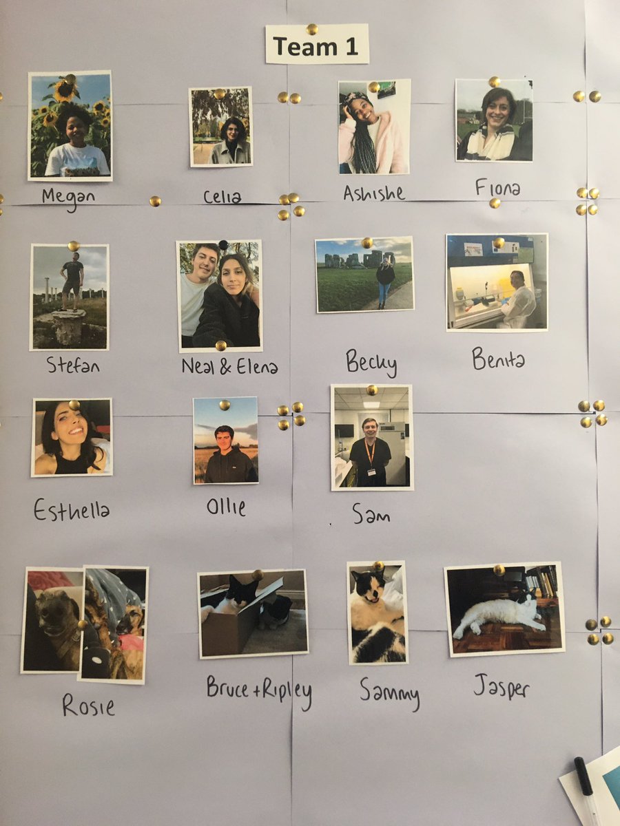 Benita Percival (@benitapercival) on Twitter photo There’s already the healthy competition between the teams.
Meet Team 1 - a group of incredible scientists - who have been in the lab this week! + their pets are super cute too!
<a href="/meganmayhew5/">Megan Mayhew</a> @celiakessler98 <a href="/FionaAshworth1/">Fiona Ashworth</a> There’s already the healthy competition between the teams.
Meet Team 1 - a group of incredible scientists - who have been in the lab this week! + their pets are super cute too!
<a href="/meganmayhew5/">Megan Mayhew</a> @celiakessler98 <a href="/FionaAshworth1/">Fiona Ashworth</a>