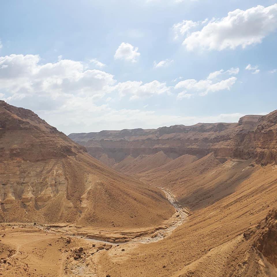 Israel Tourism tweet media