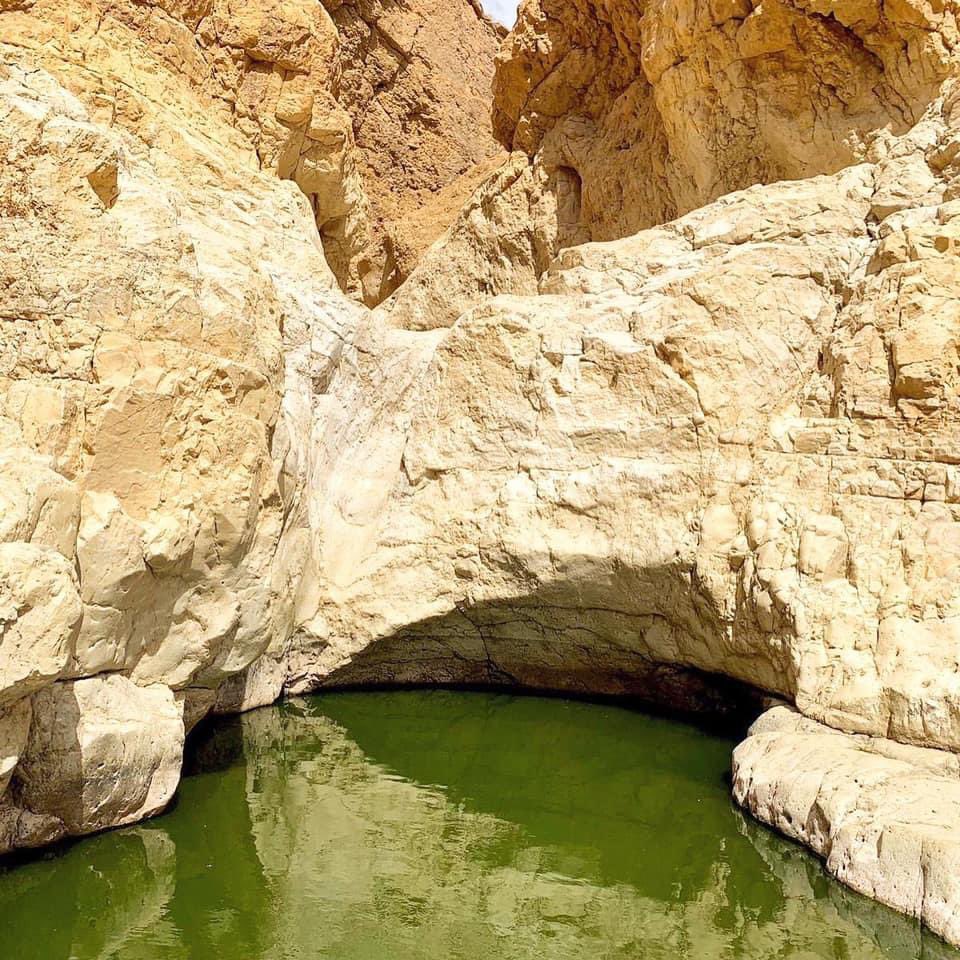 Israel Tourism tweet media