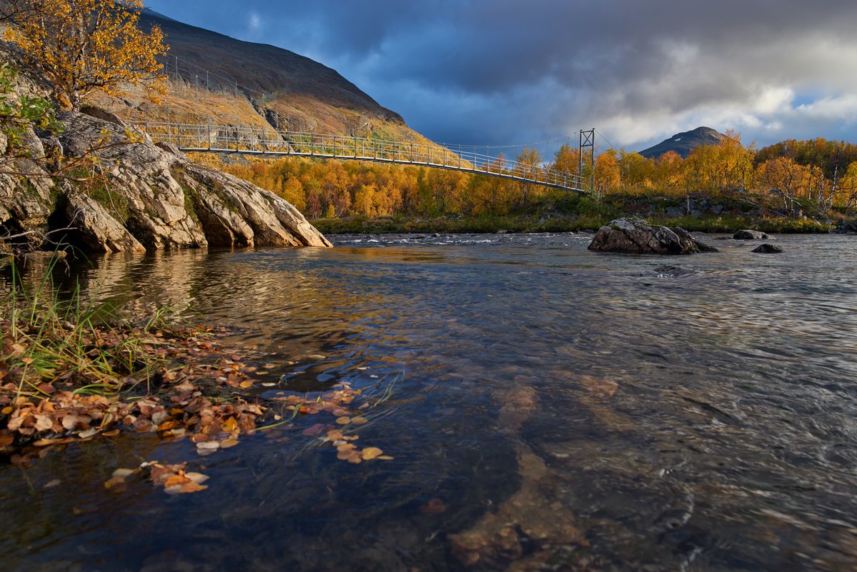 Remco de Vries tweet media