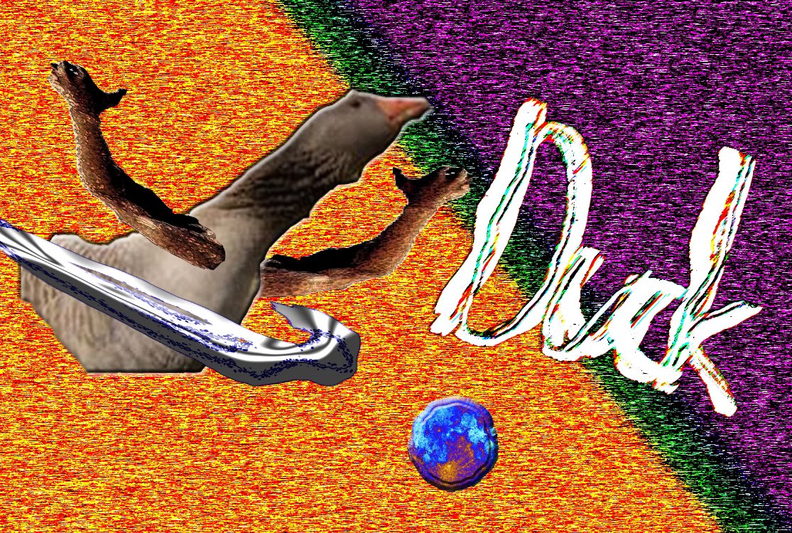 Out here like a duck today