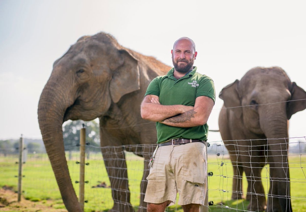 ZSLWhipsnadeZoo's tweet photo. Ming Jung is definitely worthy of a compliment or two in our opinion! @ITV #ZooLife #octoberfilms #circlecircle #LondonZooExtraordinaryYear https://t.co/RsnMAqt6Q3