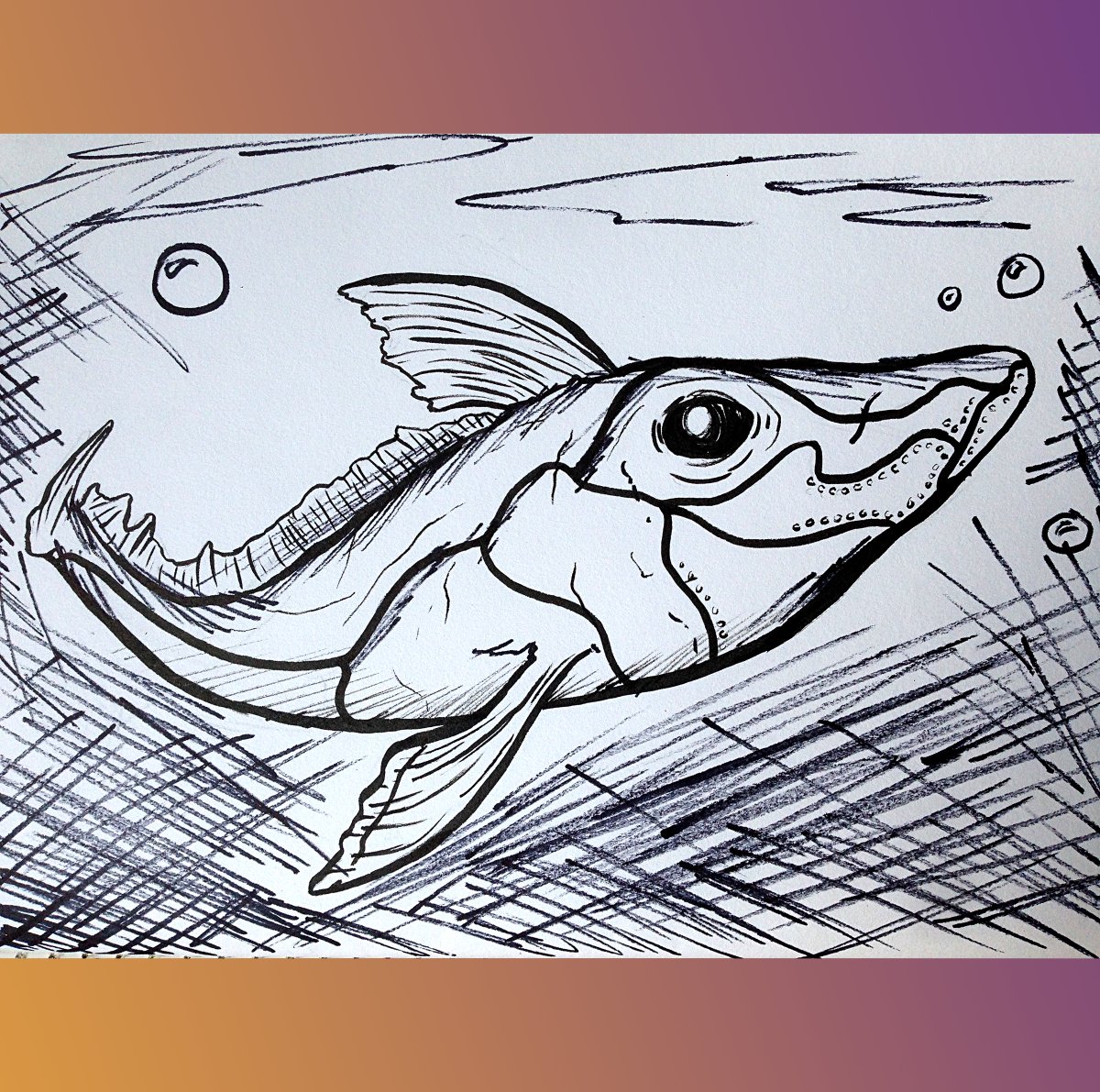 ConstanceCart's tweet photo. #Chimaeras #Chimaeriformes #Ghostshark #Ratfish #Bonyfish #Midnightzone #spookfish #Chondrichthyes #Deepsea #Deepseacreatures #Oceanic #Seacreatures #Inktober2020 #animalawareness #Inktober #2Dart #2Dartwork #art #traditionalart #traditionalmedia #constancelea #allartisbeautiful https://t.co/r7JNHmjmOW
