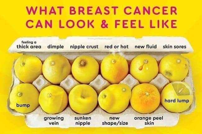Burke1986Burke's tweet photo. October = Breast Cancer Awareness Month #breastcancerawareness #checkyours #letsbeatcancertogether https://t.co/V05pFicvT3