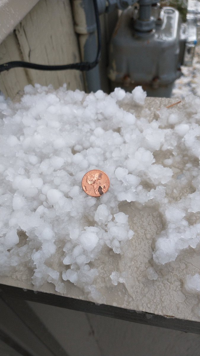 Pea-sized #hail in Champaign/Savoy, IL (with penny for size reference) <a href="/NWSLincolnIL/">NWS Lincoln IL</a> #ilwx