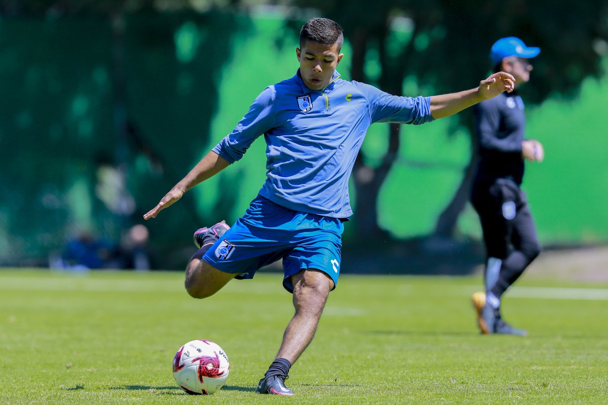 Gallos Blancos 🐓 tweet media