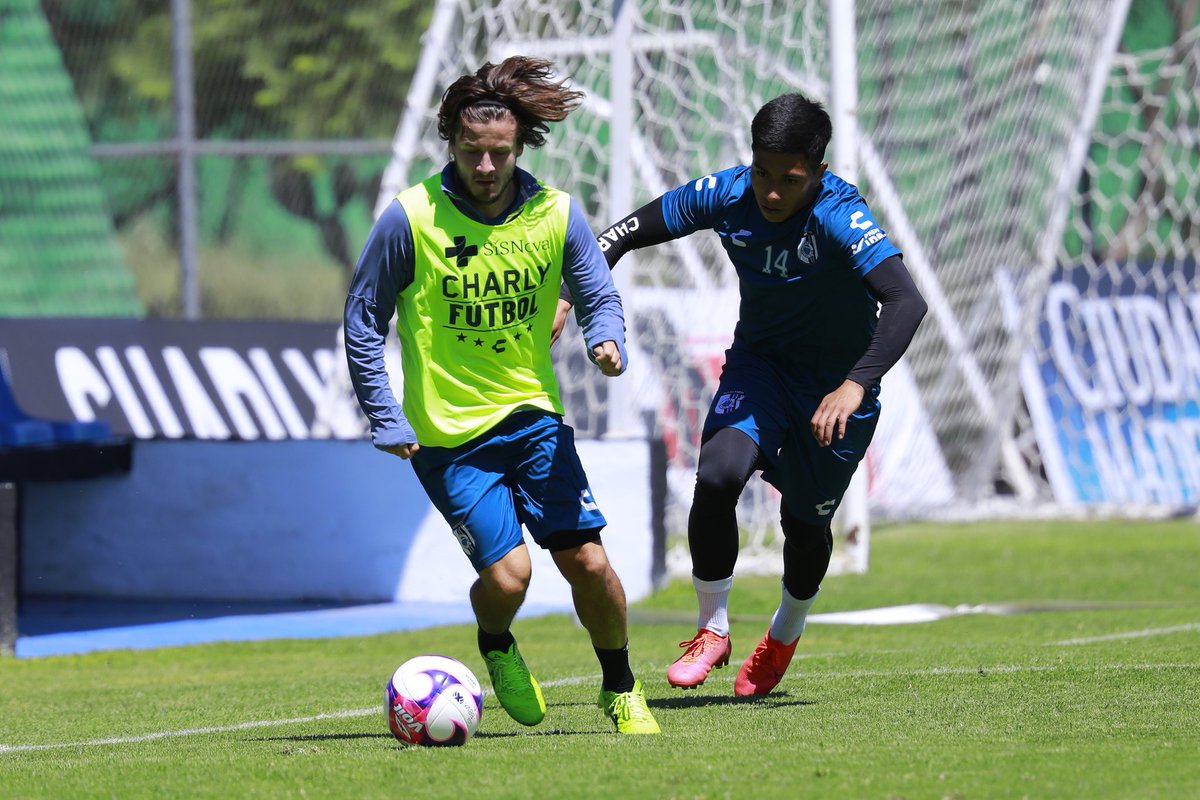 Gallos Blancos 🐓 tweet media