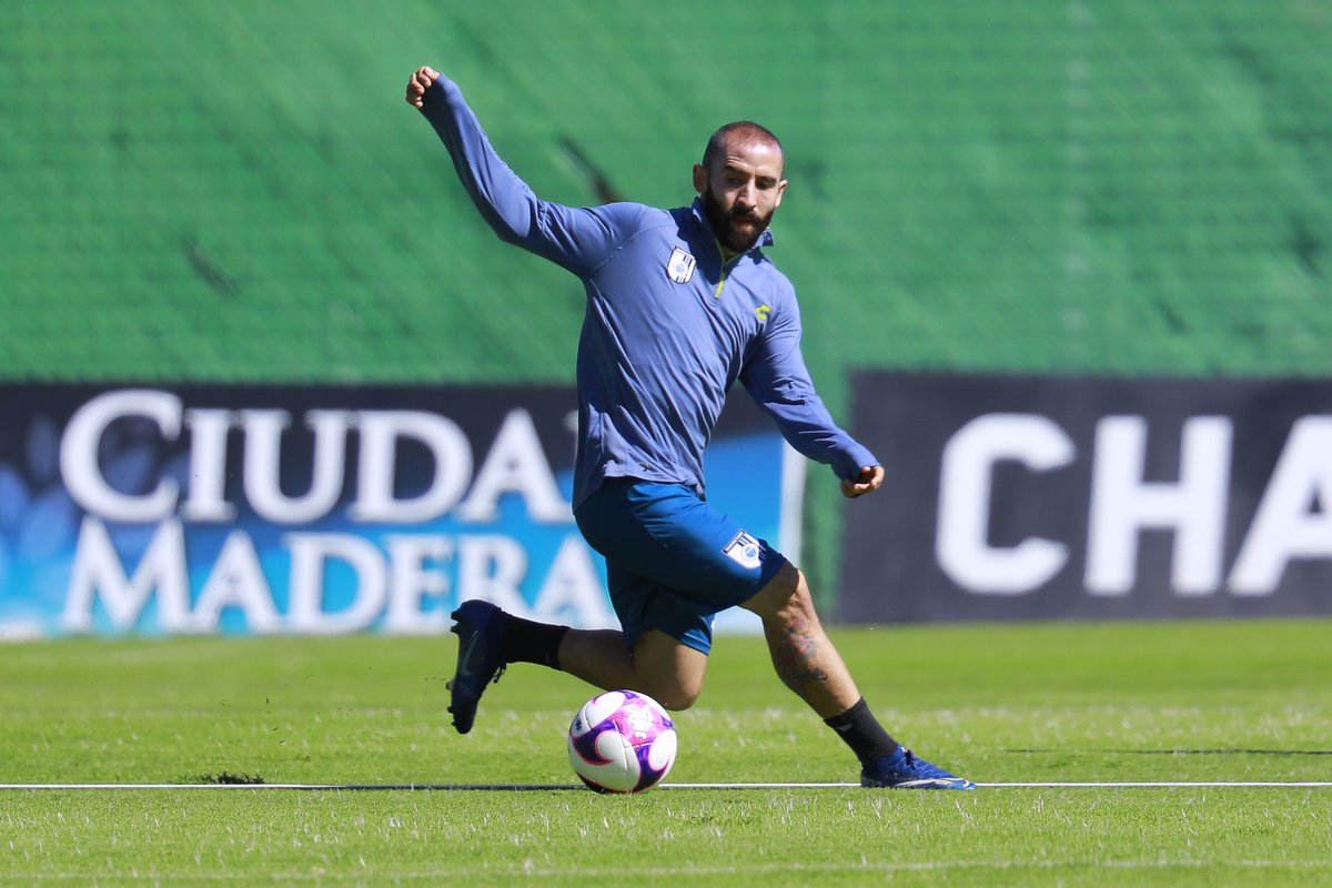 Gallos Blancos 🐓 tweet media