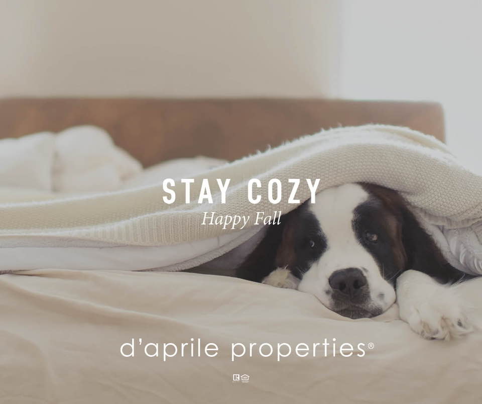 shanedconneely's tweet photo. Find a home that keeps you cozy! #HappyFall #ShaneDConneely #Realtor https://t.co/jsgIhFY38H