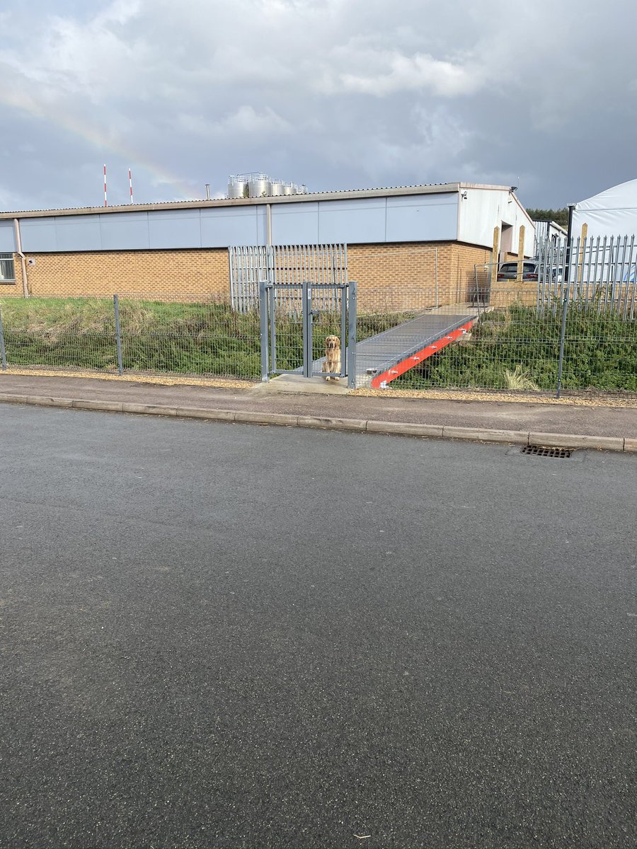 PBConstruction5's tweet photo. Tidy👍 Mesh fencing and gate erected today @AstonVauxhall https://t.co/LTwvGVlPCc