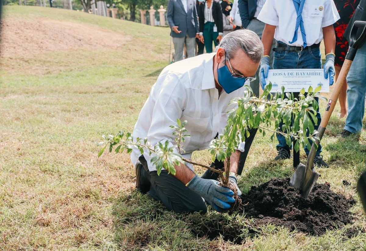 luisabinader's tweet photo. La reforestación es una parte fundamental de la política medioambiental de nuestro Gobierno, la cual vamos a impulsar como nunca antes en la República Dominicana. Sembrar un árbol es hacer Patria. https://t.co/GxP8dc6l1B