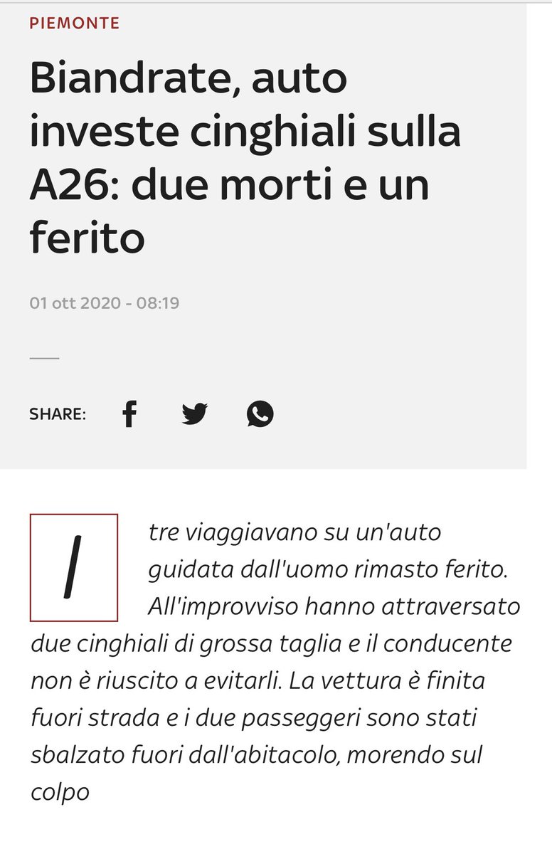 PCominetto's tweet photo. Ma la regione Piemonte cosa aspetta a prendere provvedimenti siamo invasi, quanti morti dobbiamo arrivare,se hai la fortuna di salvarti i danni alle autovetture chi li paga e i coltivatori quanto danno economico devono subire già non bisogna urtare la sensibilità degli animalisti https://t.co/SM5XxLD6M5