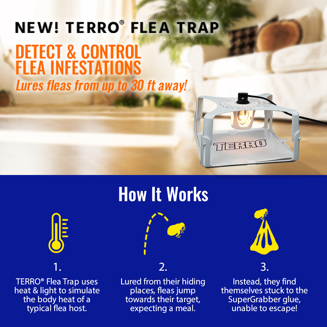 Defend your home against fleas with the new TERRO Flea Trap! Refill glue boards also available. Shop now: bit.ly/36uRovp