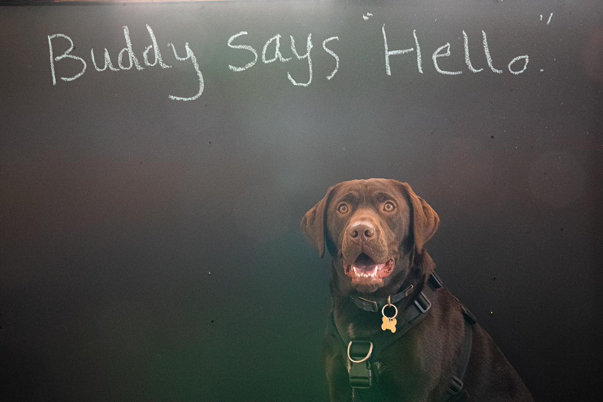 Pivot Academy Leeds East tweet media