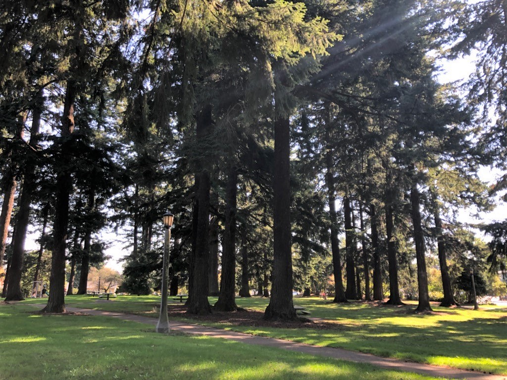 Kenilworth Park in Southeast Portland is a great place for a peaceful walk. It’s a wonderful way to enjoy the beautiful natural spaces our city has to offer.  #PostcardsFromPortland