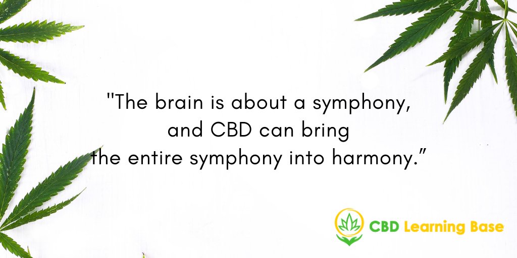 CBDLearningBase's tweet image. &quot;The brain is about a symphony, and CBD can bring the entire symphony into harmony.&quot; #cbdlearningbase #quotes #cbd #CannabisCommunity