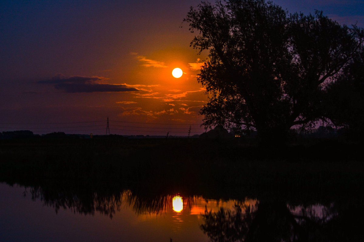 Veronica in the Fens 🧚🏼‍♀️ My Heart in Nature tweet media