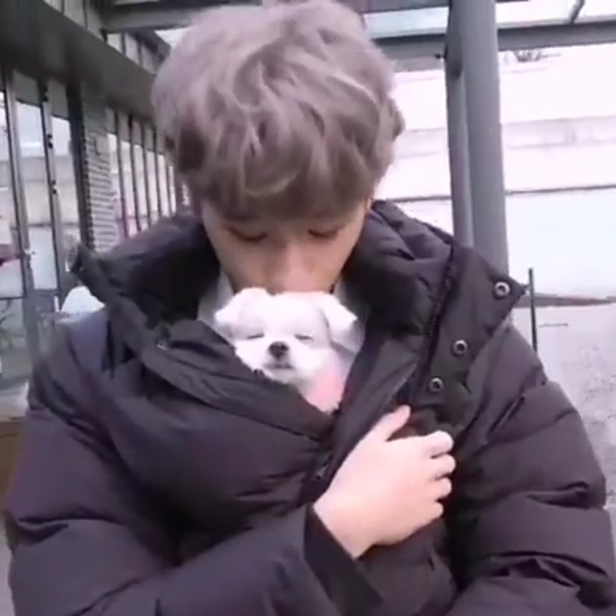 hyunjaelq's tweet photo. he loves the puppies 😚
#현재 #더보이즈 https://t.co/jzpbWlOzRC