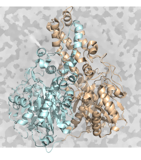 moncalig's tweet photo. Si te interesa la biología estructural vente a hacer el doctorado o el TFM al grupo de Ingeniería de Proteínas @IBBTEC.
Informate en moncalig@unican.es y https://t.co/FsZZtPKjHs https://t.co/BRI3COde6J
