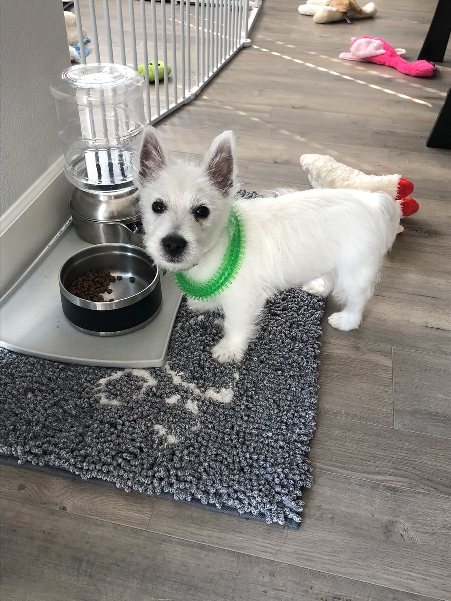 Holly Villamagna tweet media