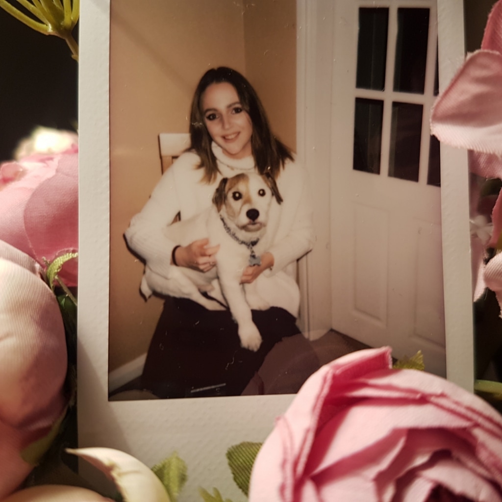 RachelMason_'s tweet photo. @ohpolly #PetsofOhPolly my lil rescue pets https://t.co/bdIyNS2i2P