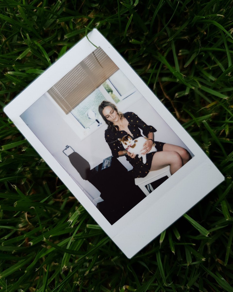 RachelMason_'s tweet photo. @ohpolly #PetsofOhPolly my lil rescue pets https://t.co/bdIyNS2i2P