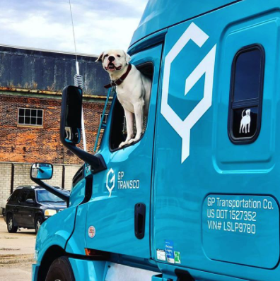 freightliner's tweet photo. One of the things that brings a smile to our face is when a dog's head pops up in the passenger window. 🐶 What makes you smile? #WorldSmileDay
📷: #GPTransco https://t.co/QvUNHekHcU