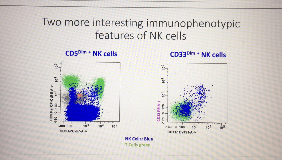 BhavnaP50374787's tweet photo. Little bit more about NK subsets, they do express CD5 dim +, CD33 dim+, be aware!! Thanks Dr Buddy Fuda & @sanamloghavi #FlowICCS20 https://t.co/H8LYuqqUx1