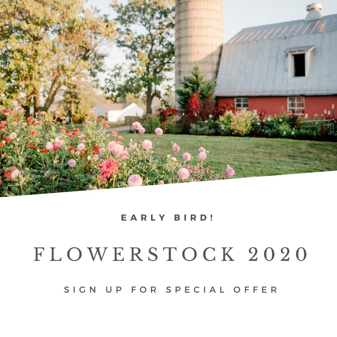 Leafy Couture tweet media