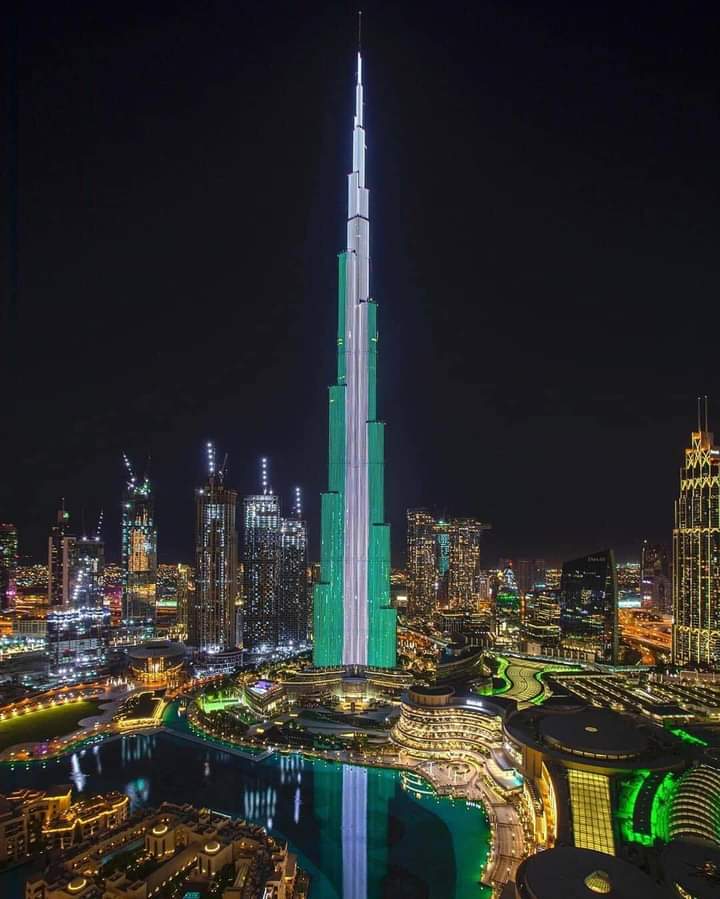 While Dubai honoured us by draping the tallest building in the world in our national colours, a young Nigerian chose to sit in a dumpster to ridicule her country. The miseducation of some youth is monumentally tragic.