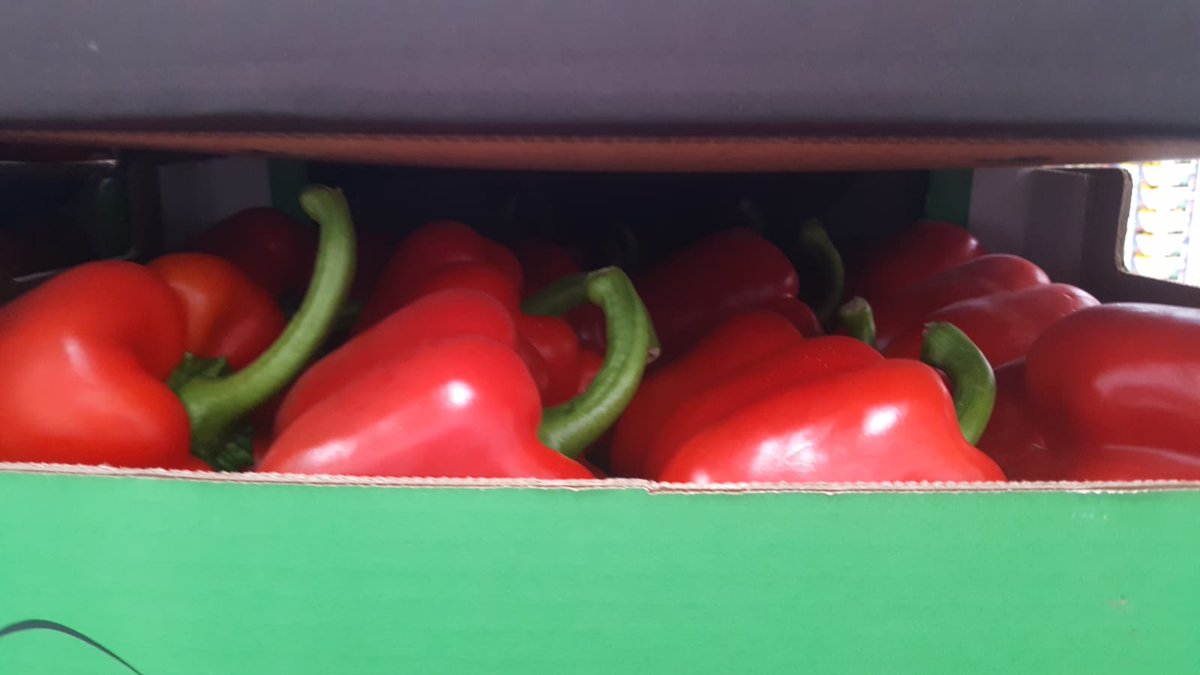 IberianOrigin's tweet photo. We also have red california pepper from our best farms and farmers
#IberianOrigin #Vegetables #Capsicum #Pepper #Red #California #Export #Fresh #Quality https://t.co/LSqrwNtkPI