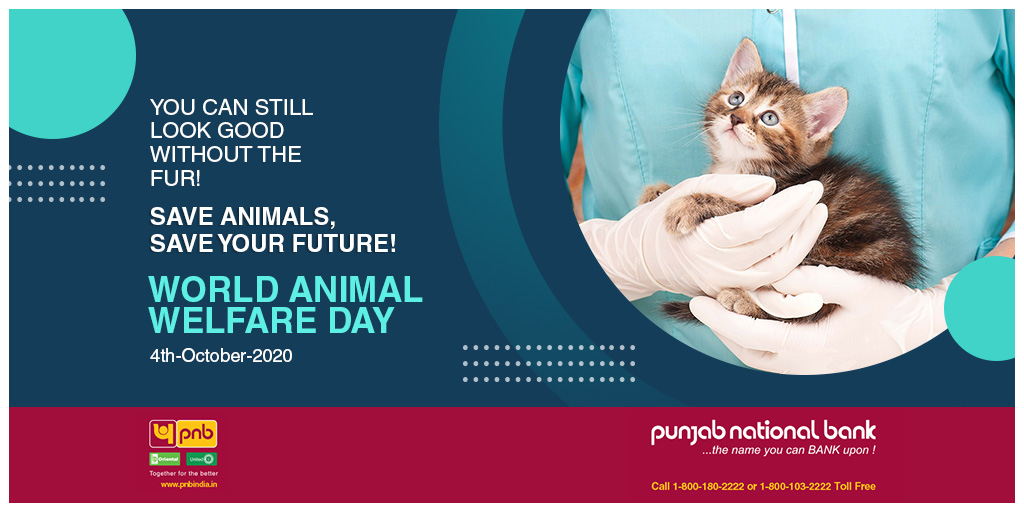 Punjab National Bank on Twitter: Punjab National Bank on Twitter: