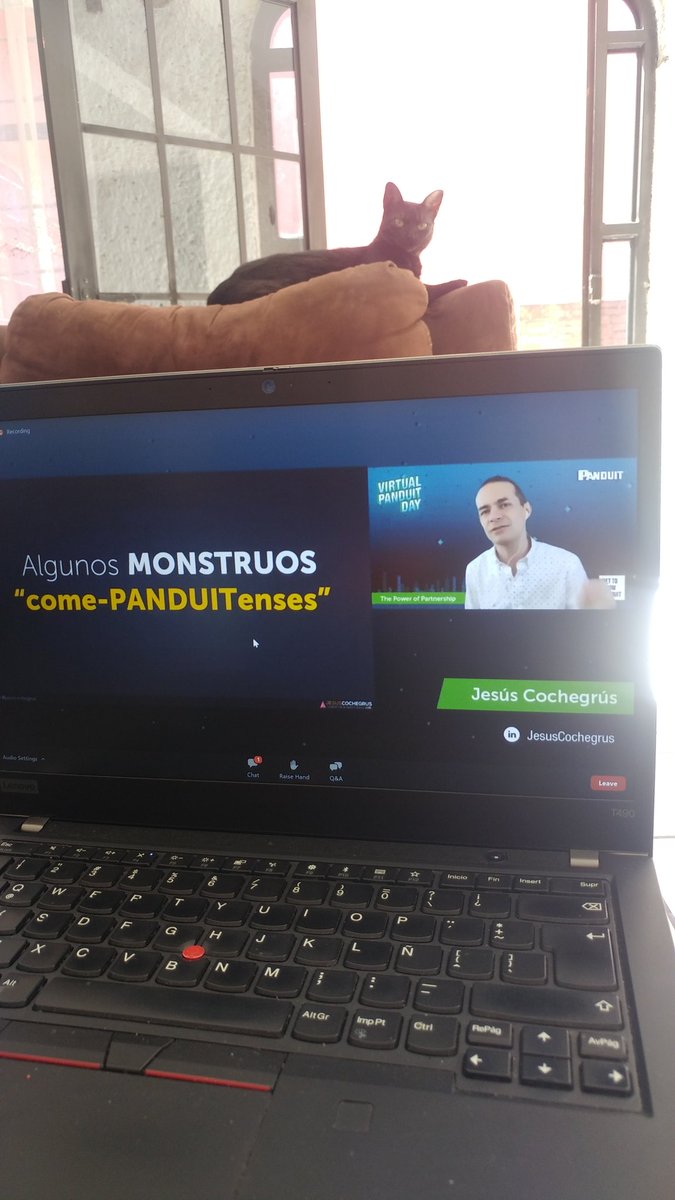 Dulcego777's tweet image. ¡Virtual Panduit Day! Disfrutando con mi gatita esta enriquecedora charla. Gracias Panduit #YosoyPanduitLATAM @PanduitLATAM #PanduitDay
