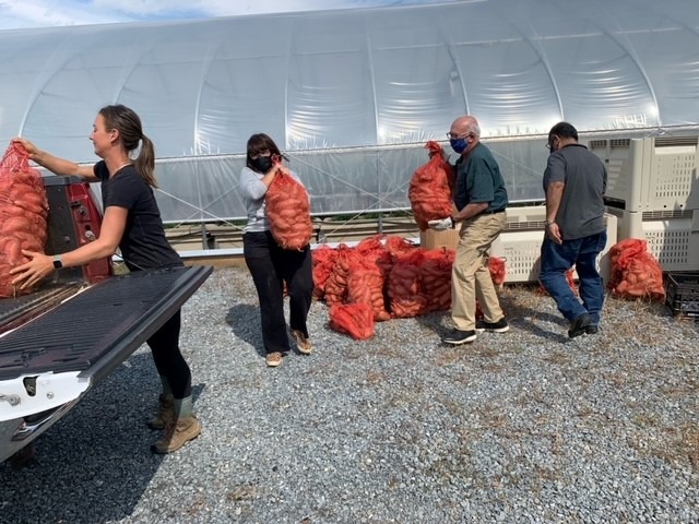 We are so blessed by our relationship with <a href="/JKCommunityFarm/">JK Community Farm</a>, who generously donated 1800lbs of sweet potatoes today!  We will be sharing this bounty through our weekly grocery deliveries and to-go meals!  

#tolministries #jkcommunityfarm  #neighborshelpingneighbors