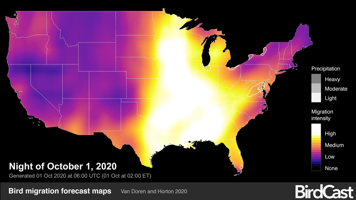 The BirdCast Team is predicting a large flight of nearly 600 million #birds tonight across much of the central and southeastern US. With a spotting scope and clear skies, you might even be able to see migrants flying past the full moon! 😎🌕🐦 bit.ly/3l60a6Q #birdtwitter