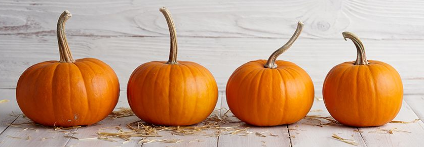 October fun with Books and Cookies! Get the latest updates and subscribe for more: gem.godaddy.com/s/d71b511 #GoDaddy #Email #Marketing via <a href="/GoDaddy/">GoDaddy</a>