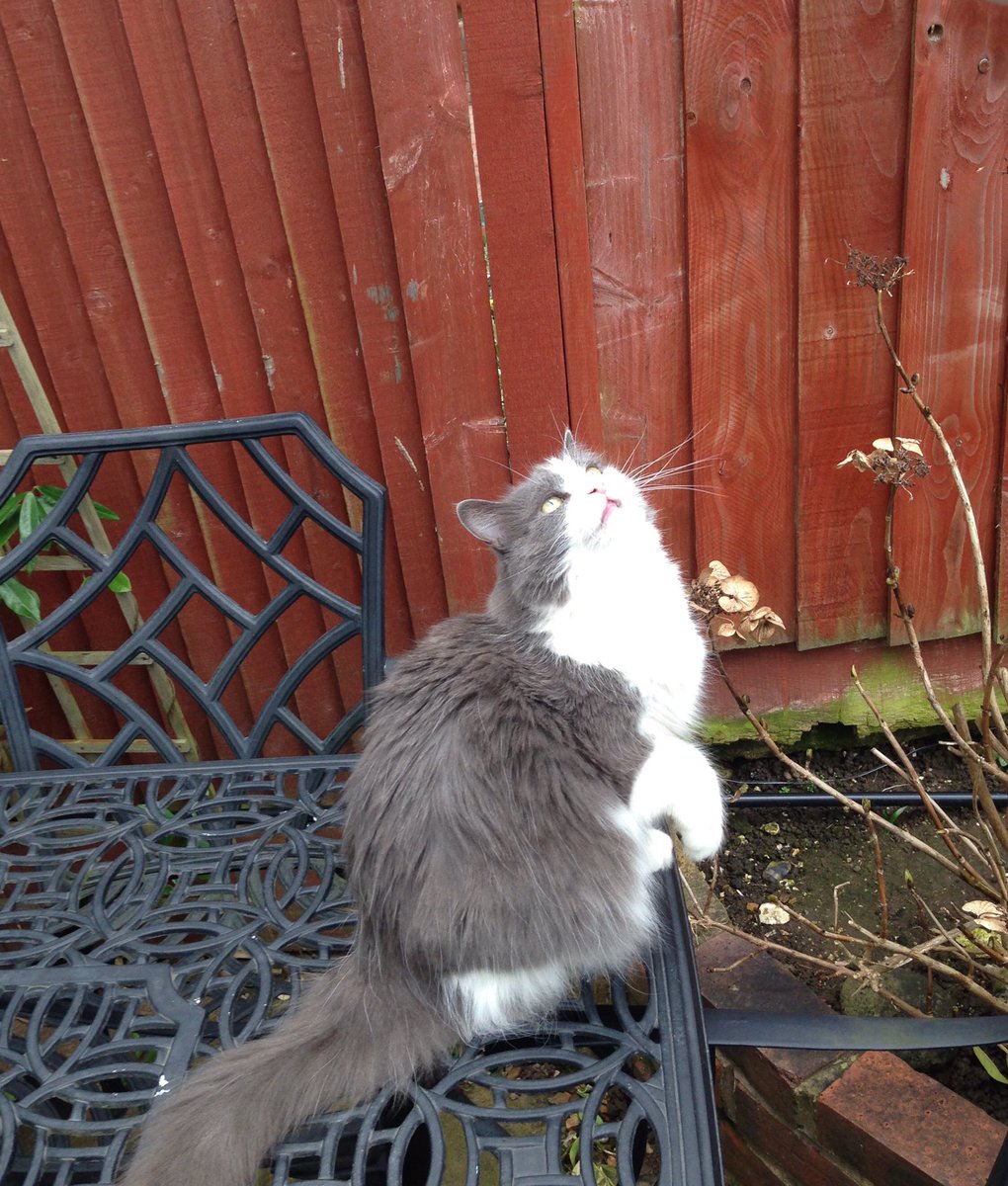 Looking for that $5...#SNELovesPets https://t.co/0QOAzZenbu https://t.co/iz2uc5KIO8
