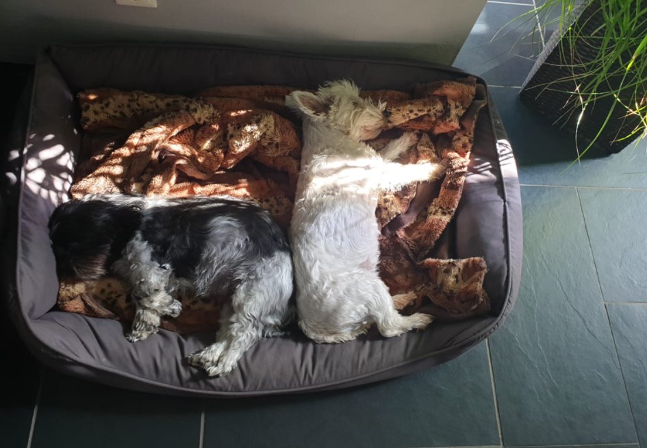 Meine beiden Freundinnen &lt;3