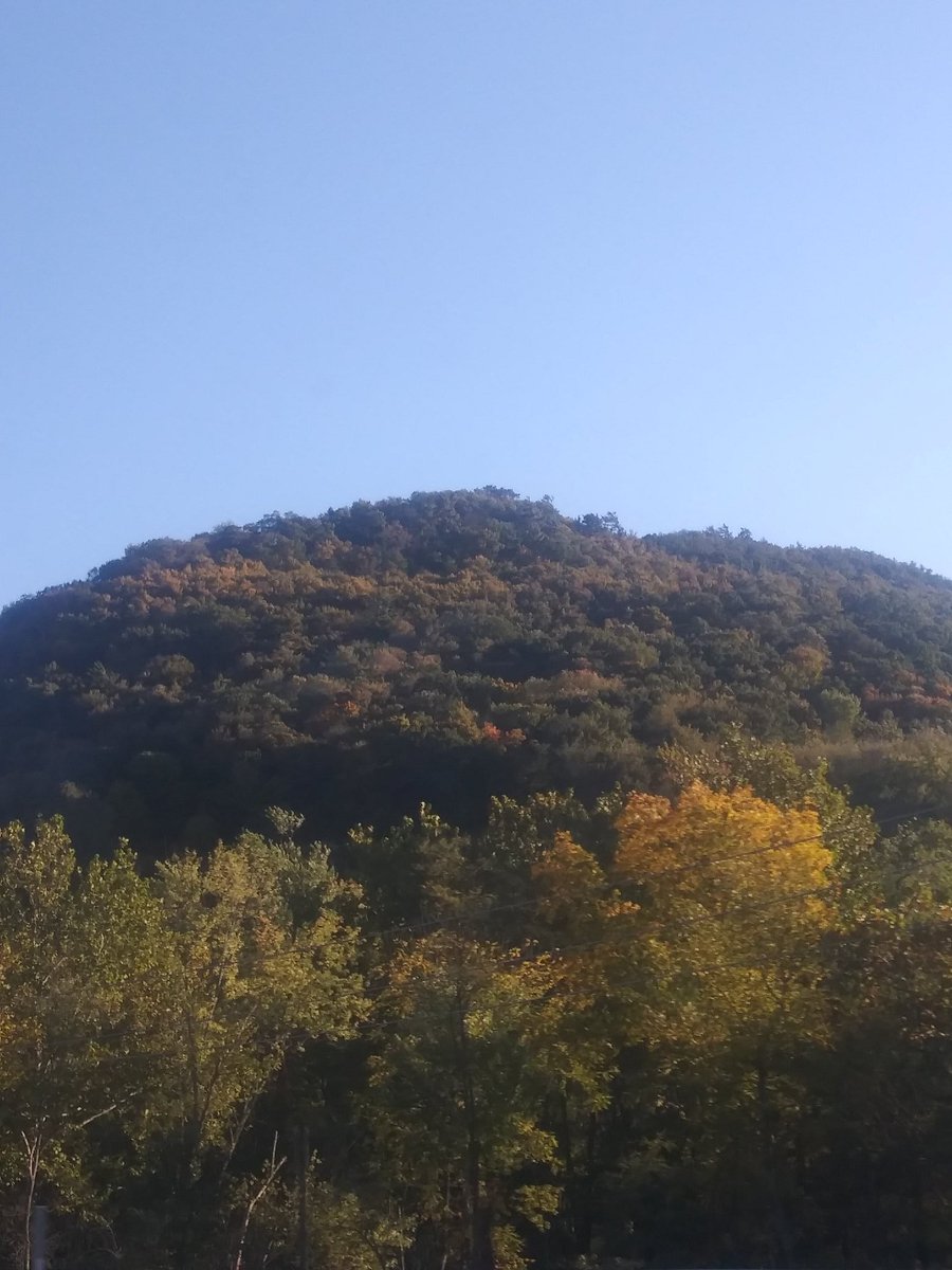 SortinoBrandon's tweet image. Ahhh good ole Pennsylvania. 
Out here in the mountains n shit. Its been too long