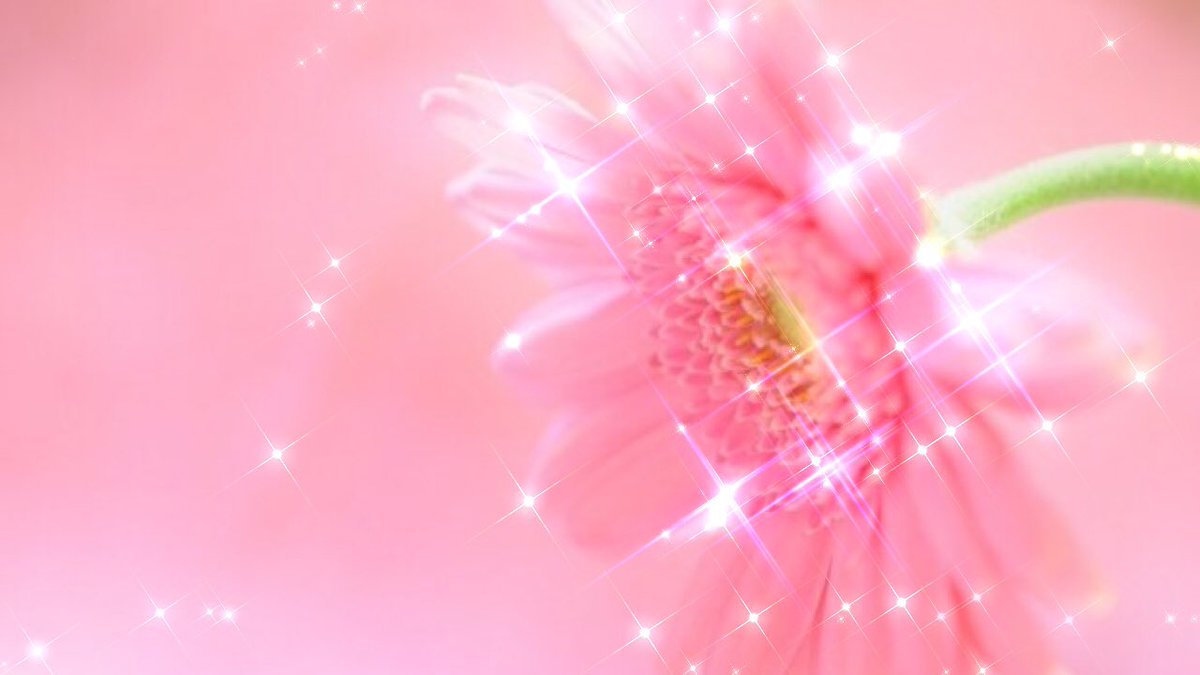 Manami24927840's tweet image. 10/2九星運勢🌹 
一白：言葉の表現を変えてみよう
二黒：温かさアピールで人気者
三碧：空回りぎみ何事も静観
四緑：気力の消耗自愛ね
五黄：短気は損気
六白：こまめに連絡を
七赤：結論は自分主体で
八白：多忙でも温かみのある対応
九紫：焦らないプレッシャー手放し
 #運勢 #九星気学 #占い