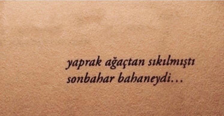 sertvurgulardan's tweet photo. https://t.co/NMBcfQ114B