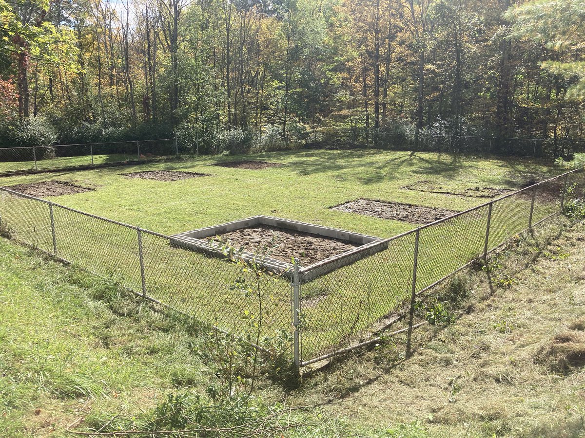 Robert Mizen tweet media