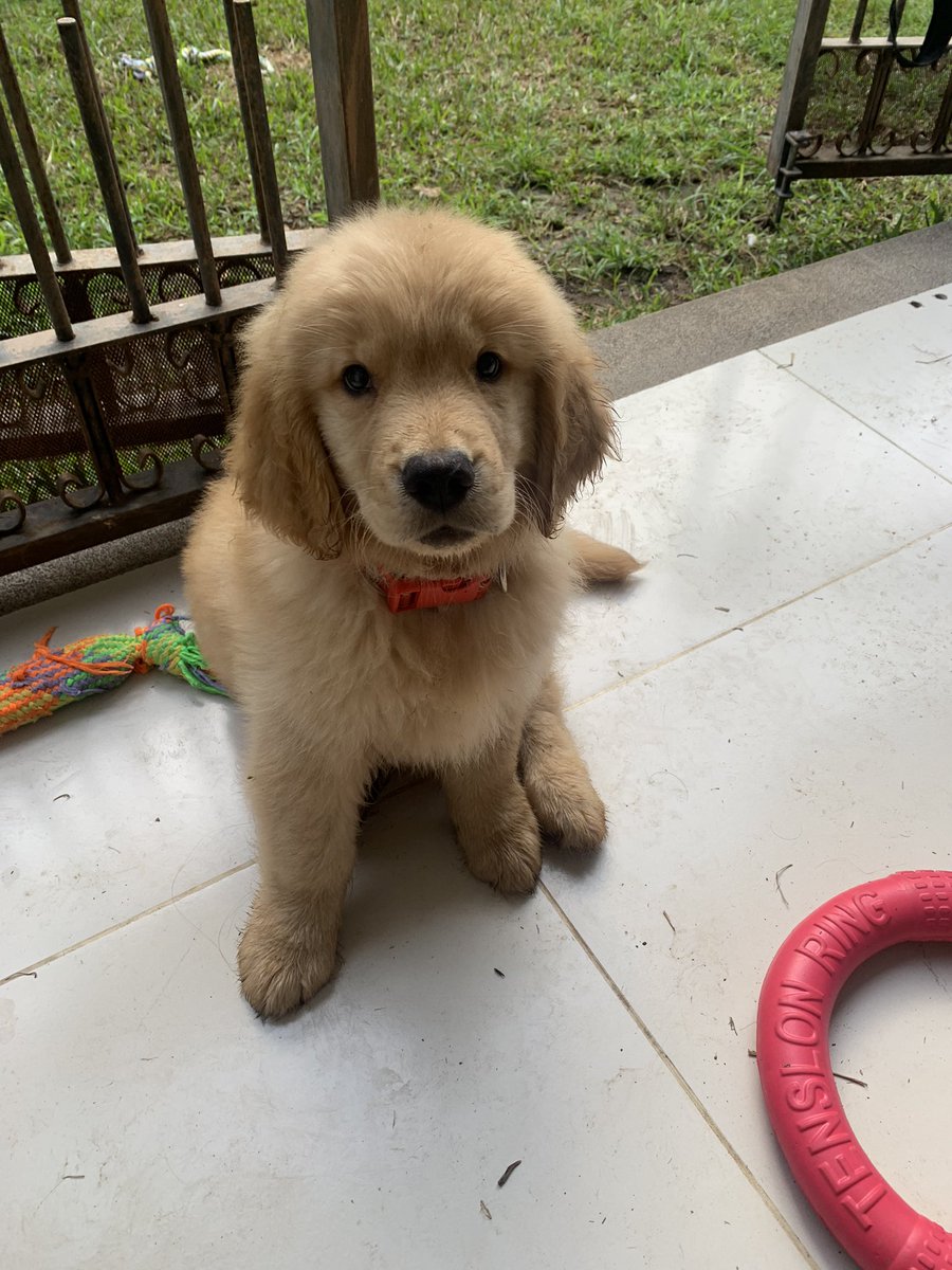 Muy emocionado por el primer Halloween de Enzo y poder tirar matching outfits