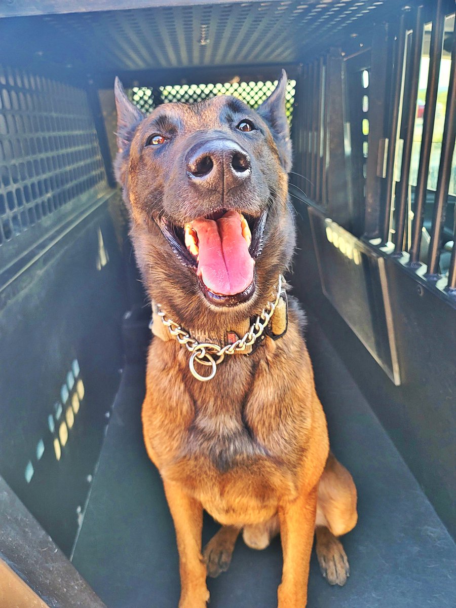 Deputy Duvall tweet media