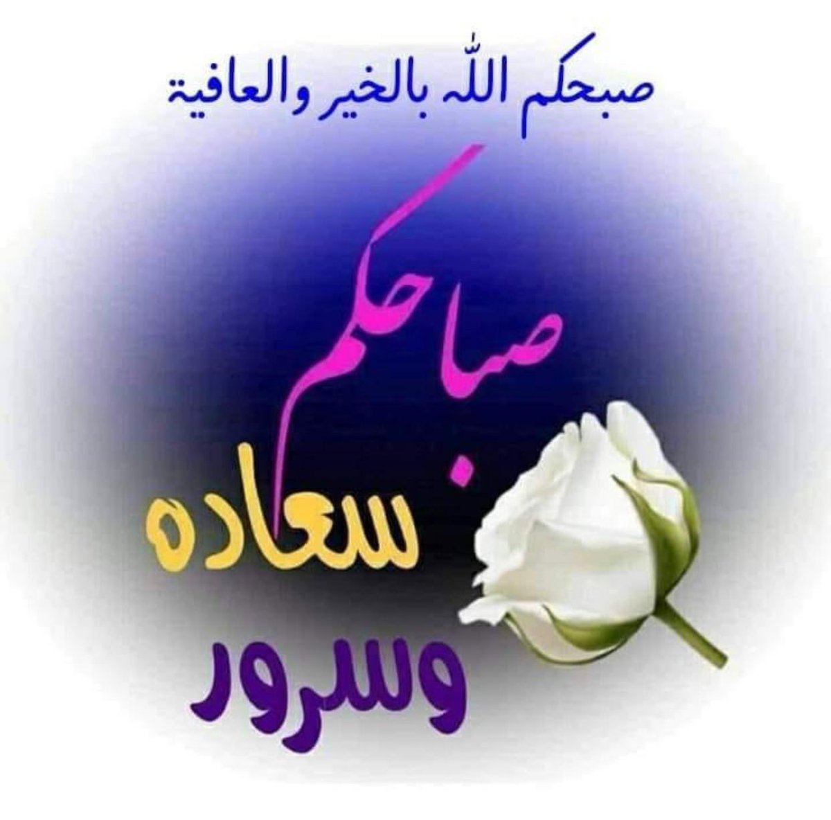 s_3370 tweet picture