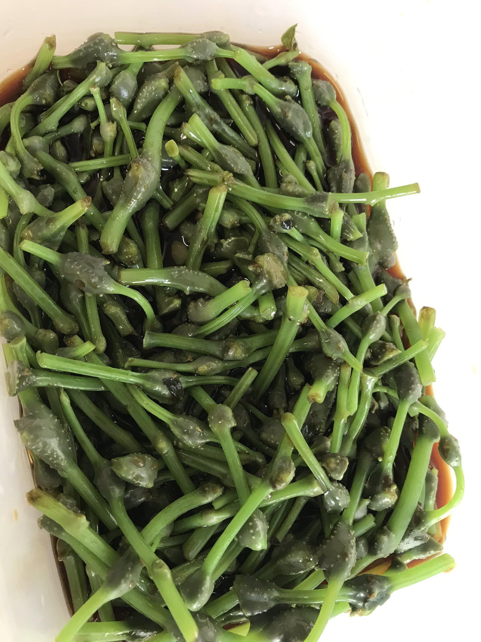 佐藤 勇輝 秋の山菜みずのコブとマルイチしょうゆの山菜一夜漬けの素で美味しいおつまみできましたー 山菜 みずのこぶ ミズの実 浅漬け マルイチしょうゆ 秋田 由利本荘市 T Co Eit8acj59y Twitter