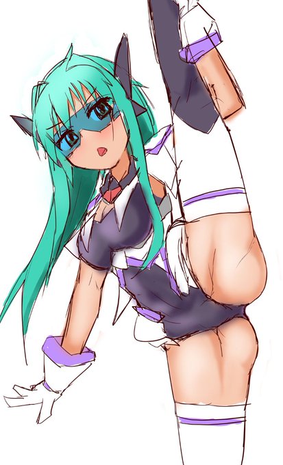 変身によって得た偽りの柔軟性 