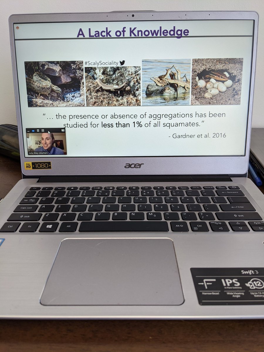 gabriela_melogc's tweet photo. How nice is to conclude my first virtual conference at #ASSAB2020 with a talk about Lizards (that I love a lot) and Sociality (that I miss a lot) by Julia Riley @jr4science amazing π https://t.co/XVot18xv8h