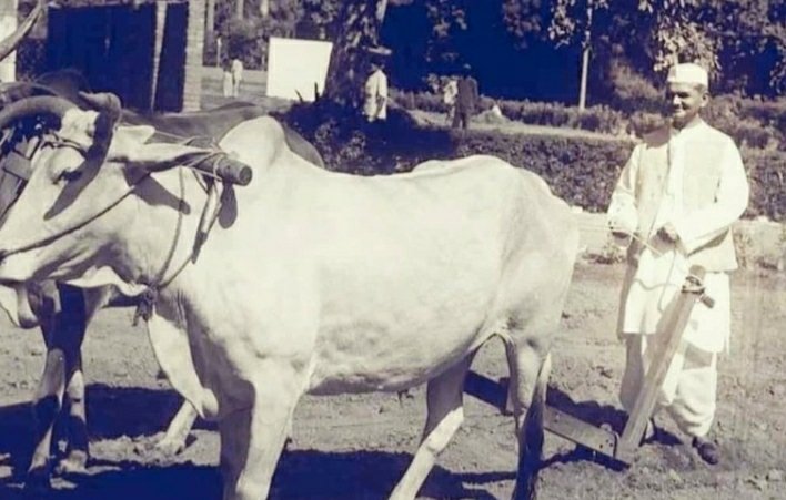 EqualOppIN's tweet photo. Pls watch The Tashkent Files
how  #LalBahadurShastriJayanti
was brutally murdered nd no one actually knows what happened with him
everything is being still hidden! 
#नाथूराम_गोडसे_जिंदाबाद 
#LalBahadurShastriJayanti https://t.co/s9Erftcgk1