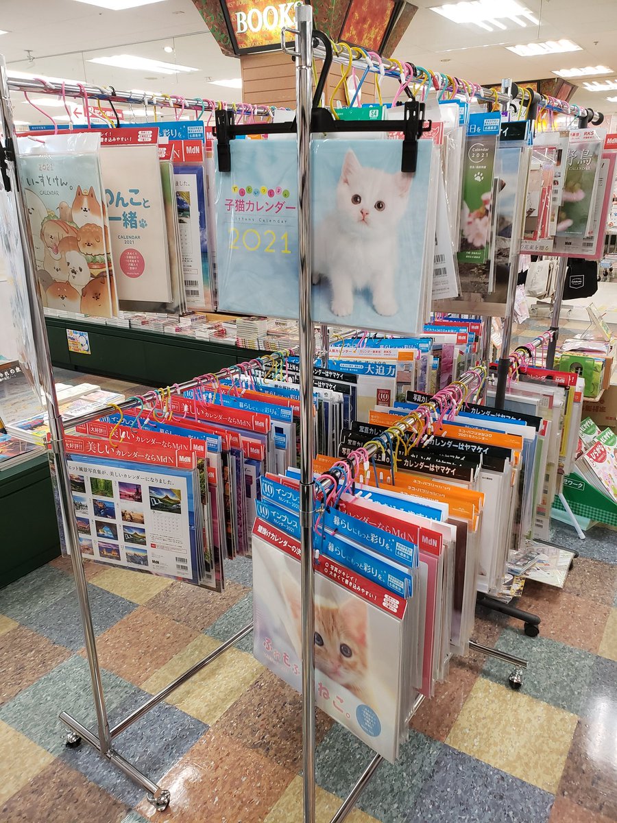 yokado7's tweet photo. １０月に入り、来年のカレンダーや手帳が揃い始めました！
これからまだ動物カレンダーも入ってきます！
ぜひご覧ください🐶🐱🗓️ https://t.co/y470IS2oKs